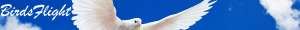 Bird Flight logo